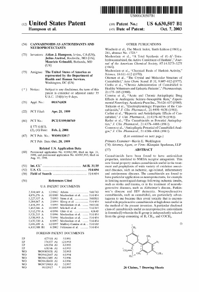 US Patent (2).jpg US Patent (2).jpg